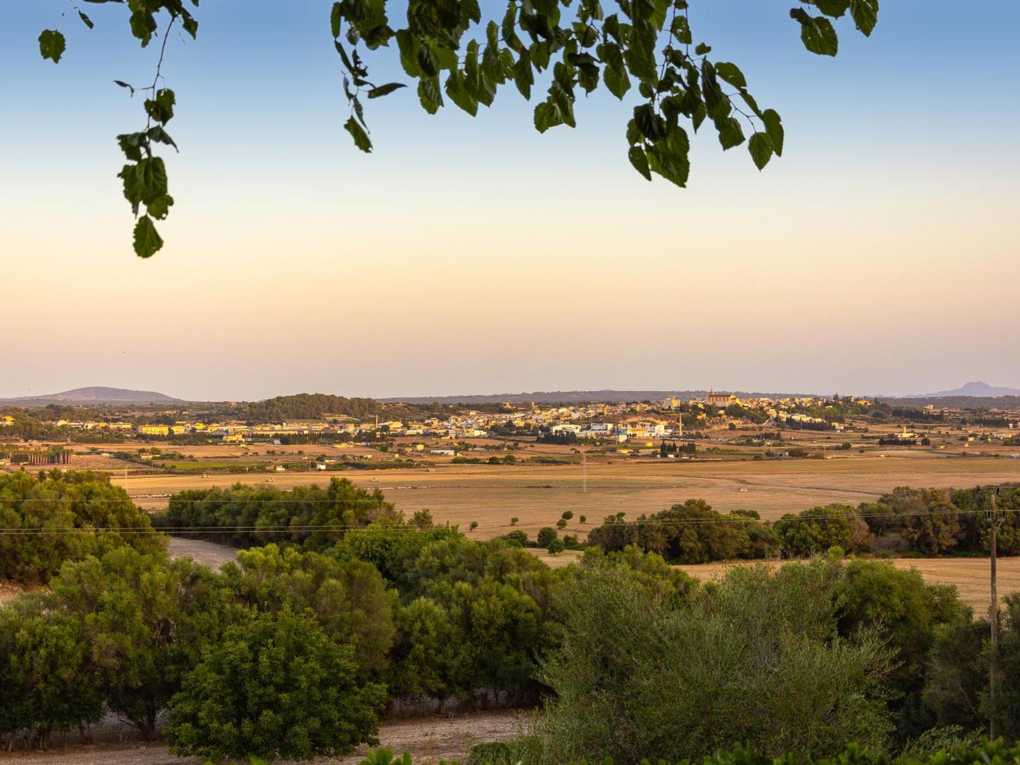 Son Flor Agroturisme Santa Margalida Zewnętrze zdjęcie